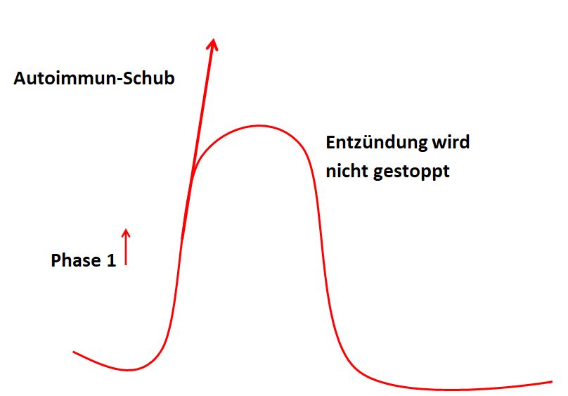 Entzuendung Hashimoto3