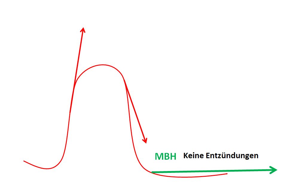 Entzuendung Hashimoto5