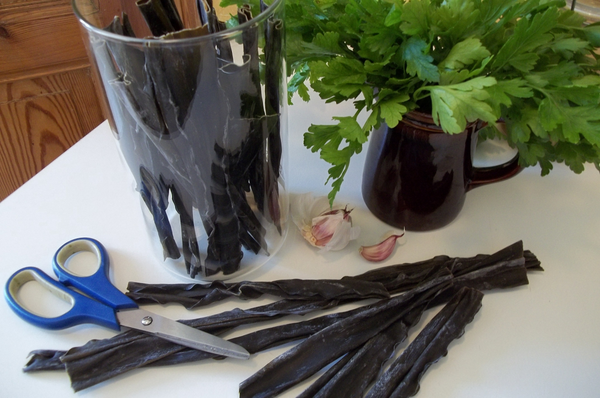 Meeresalgen bei Schilddrüsenproblemen